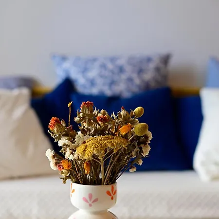 Apartamento 300m Côte Sauvage