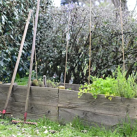 Appartement 300m Côte Sauvage *