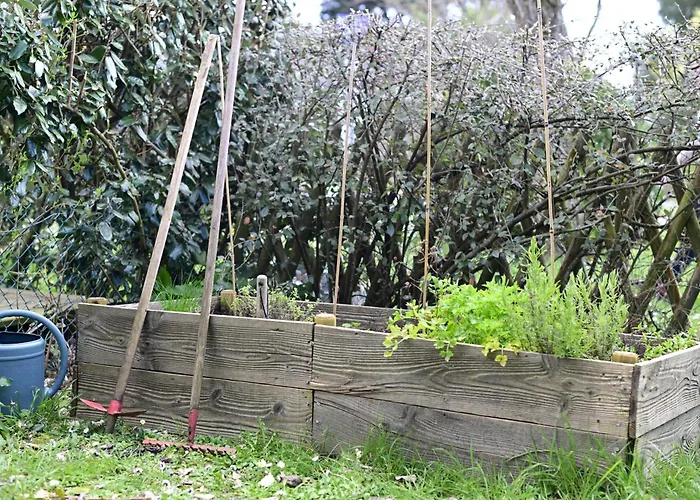 Apartamento 300m Côte Sauvage *